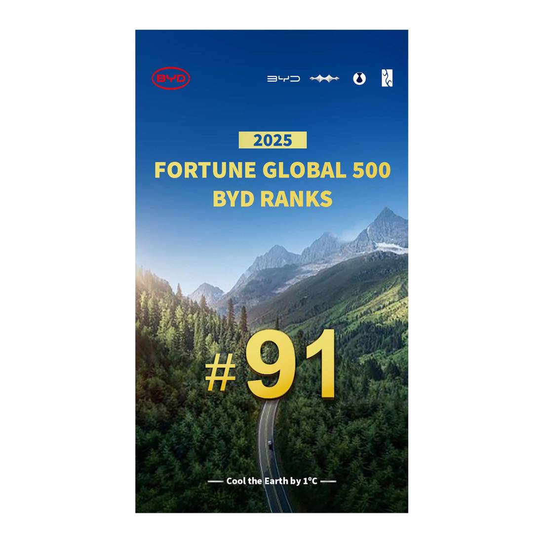 BYD FORTUNE GLOBAL #91