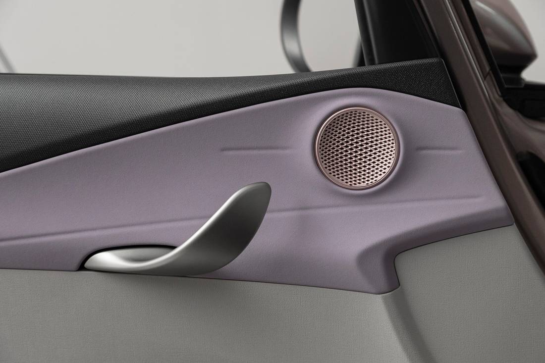 BYD Dolphin GS Interior Porta