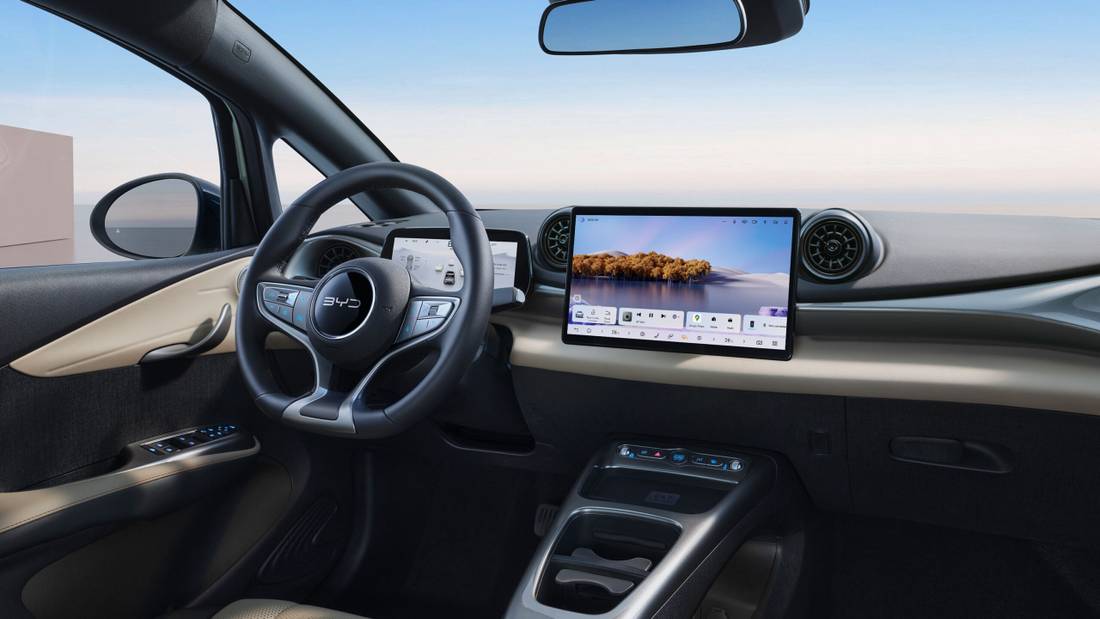 Dolphin SE Interior Painel 2