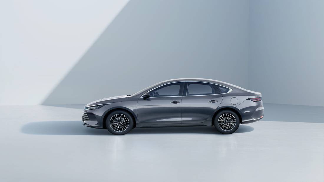 BYD King Grey Lado