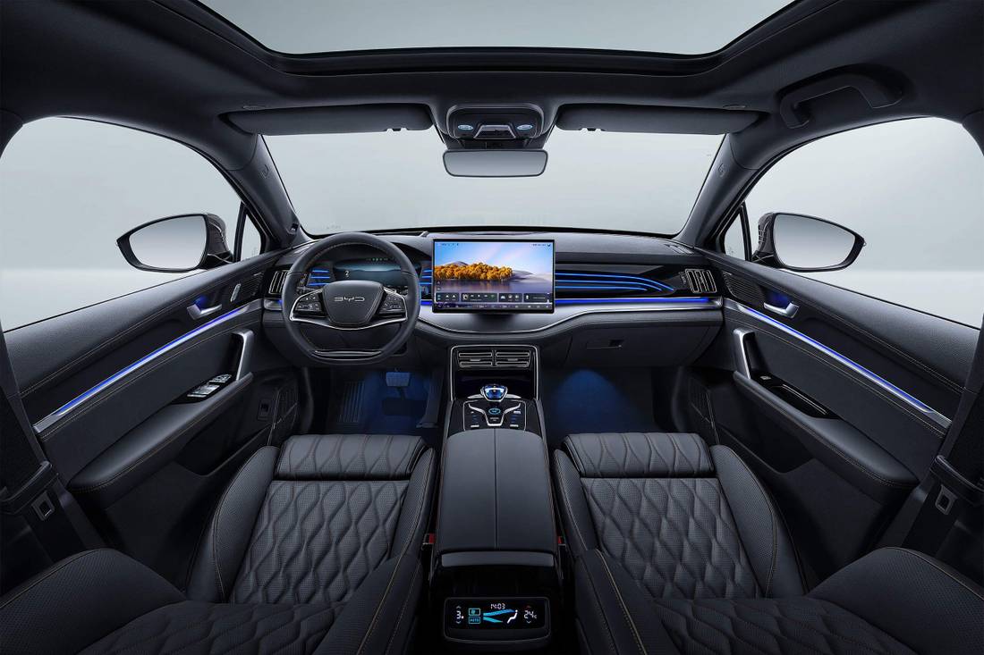 BYD Tan Int. Bancos Black Pain.