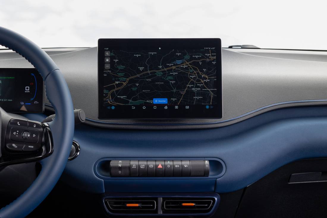 Dolphin Mini Green Interior Display