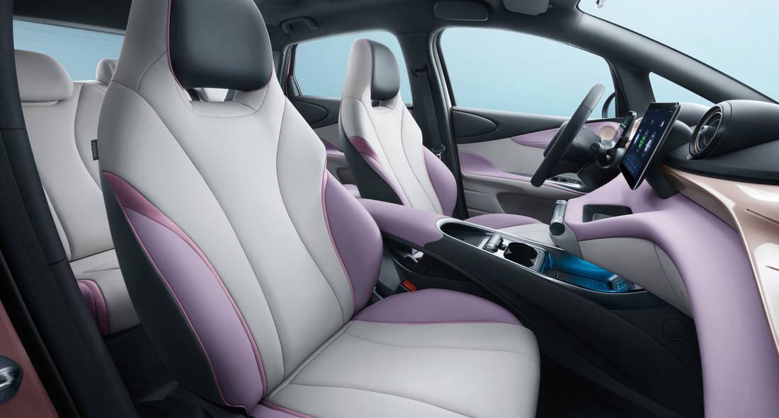 Dolphin Plus Interior Bancos