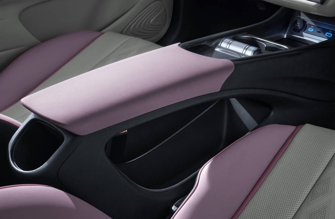 Dolphin Plus Interior Console