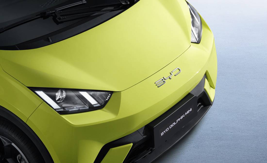 Dolphin Mini Green Frente Detalhe